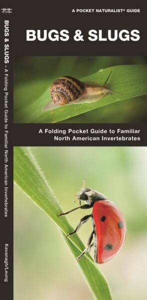 Bugs & Slugs: A Folding Pocket Guide to Familiar North American Invertebrates (A Pocket Naturalist Guide)