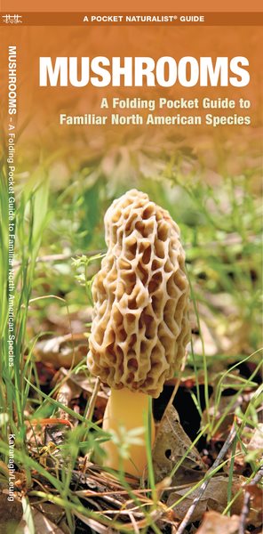 Mushrooms: A Folding Pocket Guide to Familiar North American Species (Pocket Naturalist Guide Series) cover