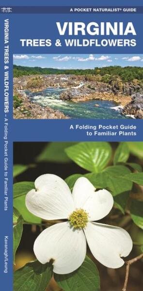 Virginia Trees & Wildflowers: A Folding Pocket Guide to Familiar Plants (Wildlife and Nature Identification) cover