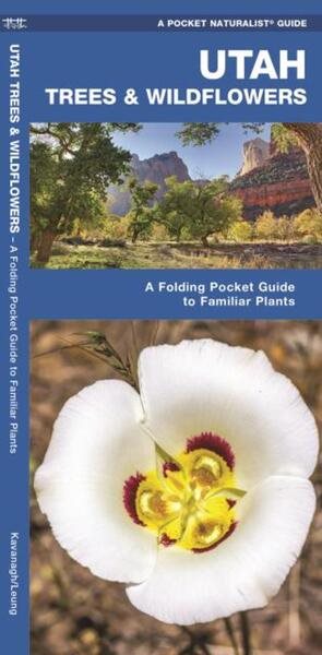 Utah Trees & Wildflowers: A Folding Pocket Guide to Familiar Plants (Wildlife and Nature Identification) cover