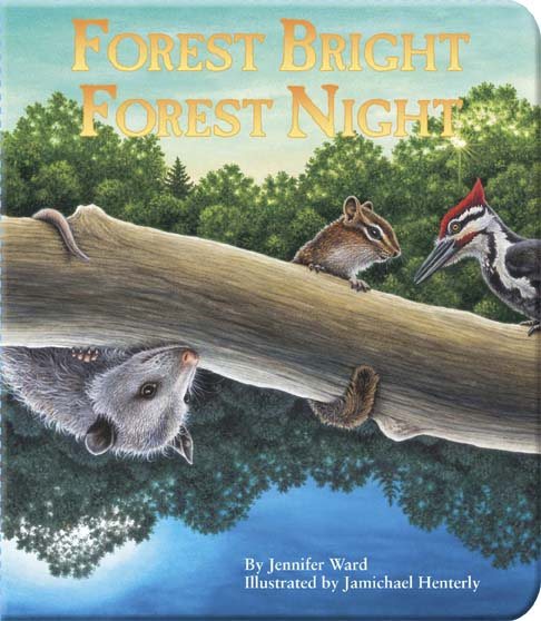 Forest Bright, Forest Night (Simply Nature Books) cover