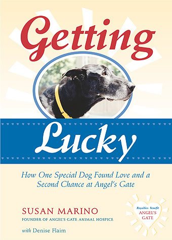 Getting Lucky: How One Special Dog Found Love and a Second Chance at Angel's Gate