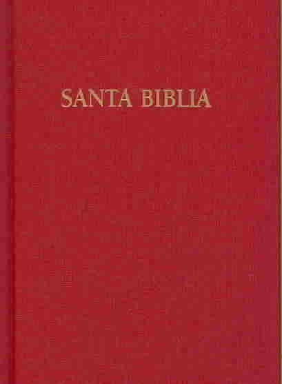 Holy Bible: Reina Valera, Burgundy, 1960 Gift & Award Bible (Spanish Edition) cover