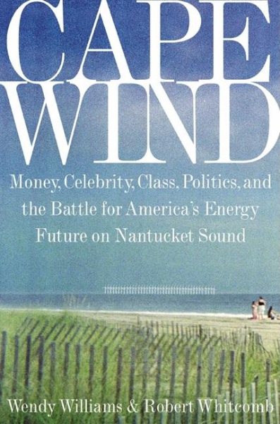 Cape Wind: Money, Celebrity, Class, Politics, and the Battle for Our Energy Future on Nantucket Sound cover
