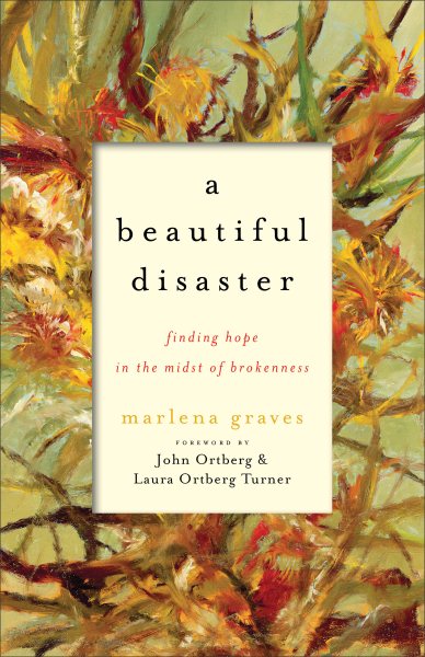 A Beautiful Disaster: Finding Hope in the Midst of Brokenness cover
