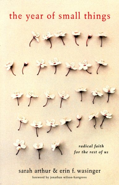 Year of Small Things: Radical Faith For The Rest Of Us cover
