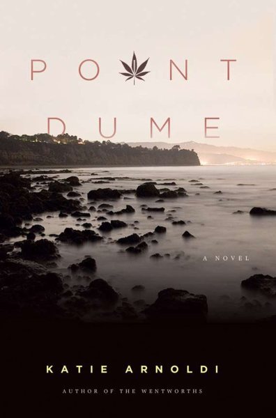 Point Dume: A Novel