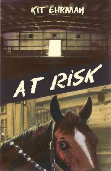 At Risk: A Steve Cline Mystery (Steve Cline Mysteries) cover