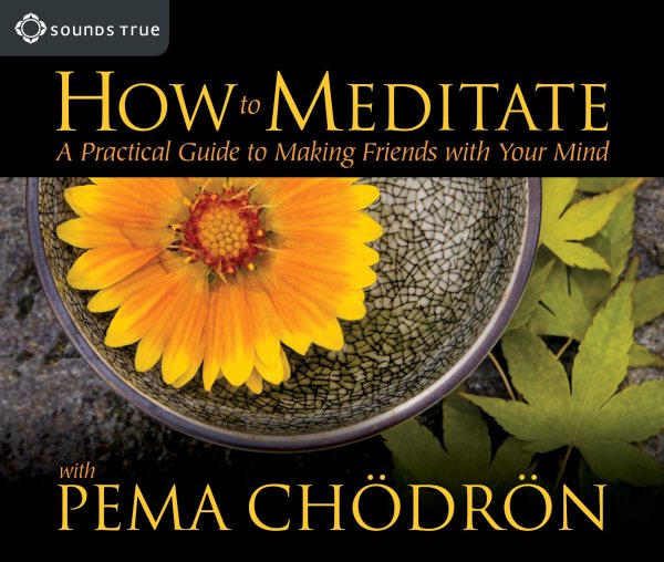 How to Meditate: A Practical Guide to Making Friends with Your Mind cover