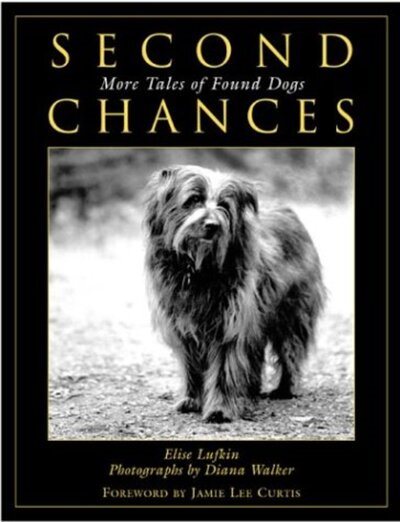 Second Chances: More Tales of Found Dogs cover