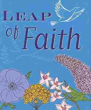 Leap of Faith (Mini book) cover