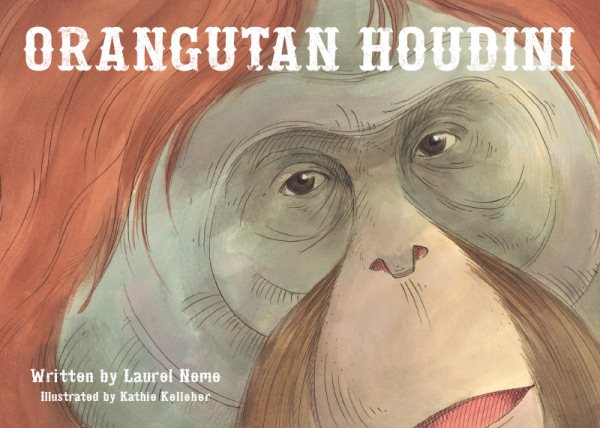 Orangutan Houdini cover