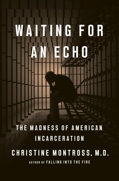 Waiting for an Echo: The Madness of American Incarceration cover