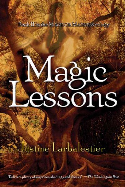 Magic Lessons (Magic or Madness)
