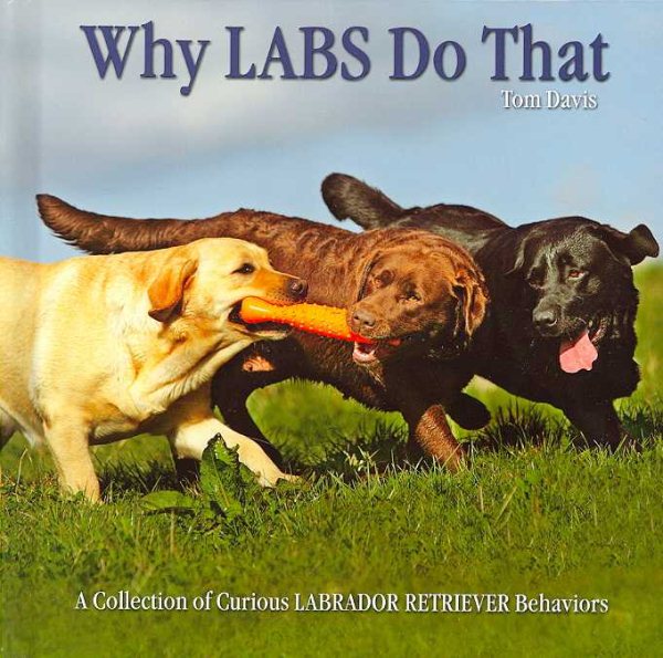 Why Labs Do That: A Collection of Curious Labrador Retriever Behavior