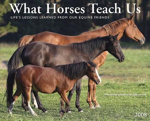 What Horses Teach Us 2008 Calendar cover