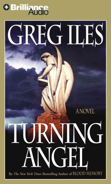 Turning Angel cover