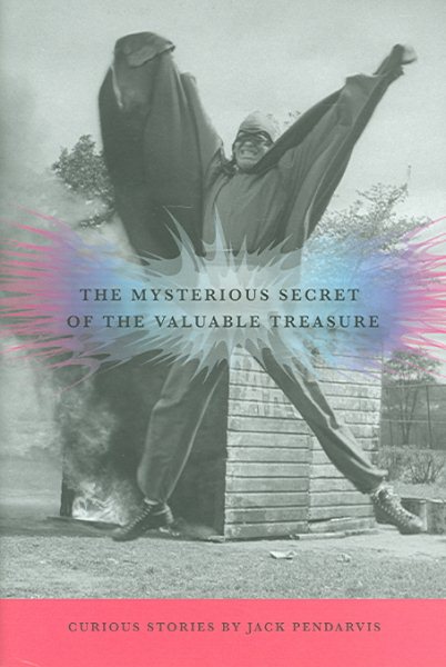 The Mysterious Secret of the Valuable Treasure cover
