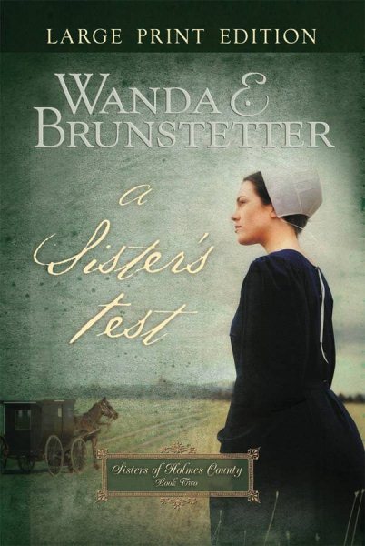 A Sister's Test cover