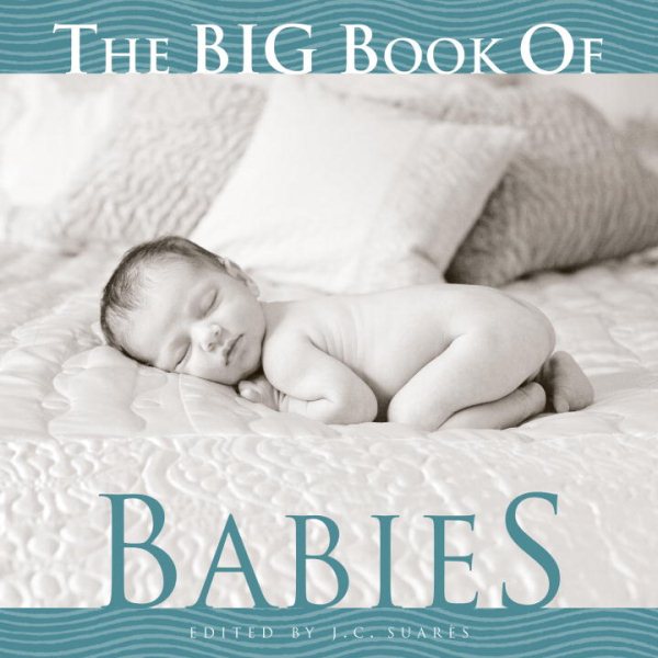 The Big Book of Babies (Big Book of . . . (Welcome Books)) cover