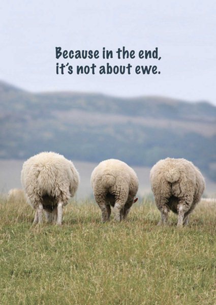 GOD'S WORD Sentaments Because in the End, It's Not About Ewe cover