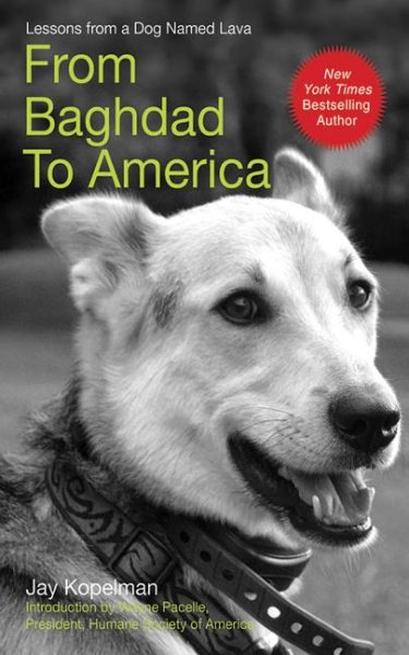 From Baghdad to America: Life Lessons from a Dog Named Lava cover