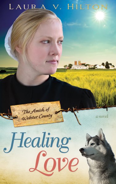 Healing Love (Volume 1) (The Amish of Webster County)
