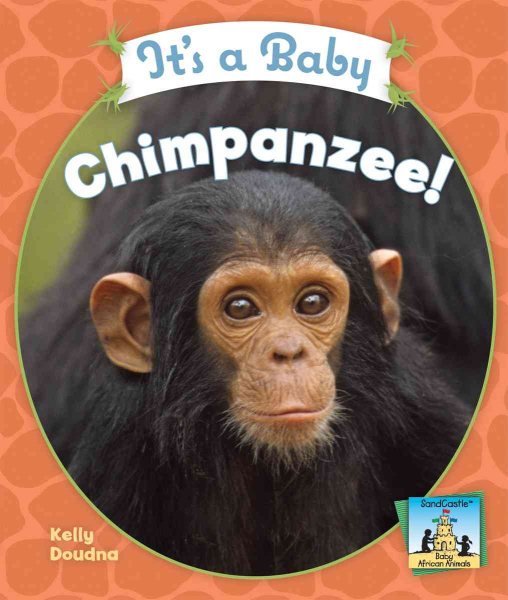 It's a Baby Chimpanzee! (Baby African Animals)
