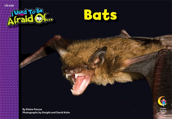 Bats, I Used To Be Afraid Of Series