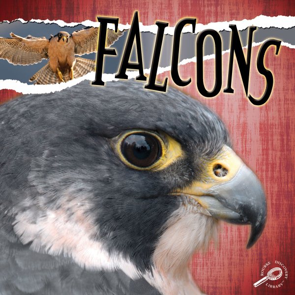 Falcons (Raptors (Discovery))