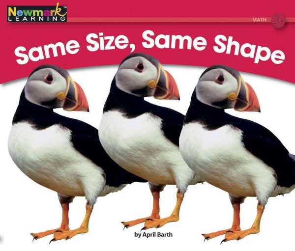 Same Size, Same Shape (Rising Readers: Math Set 2: Levels D-i)