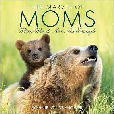 The Marvel Of Moms cover