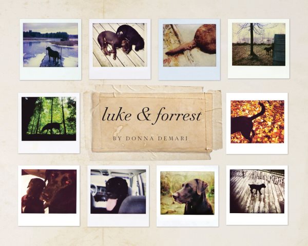 Luke & Forrest cover