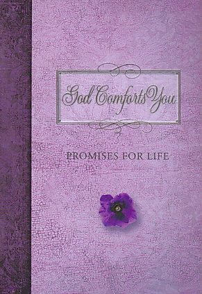 God Comforts You (Pocketbooks) cover
