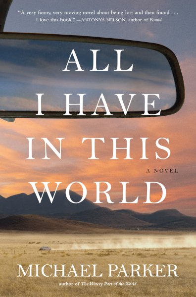 All I Have in This World: A Novel cover