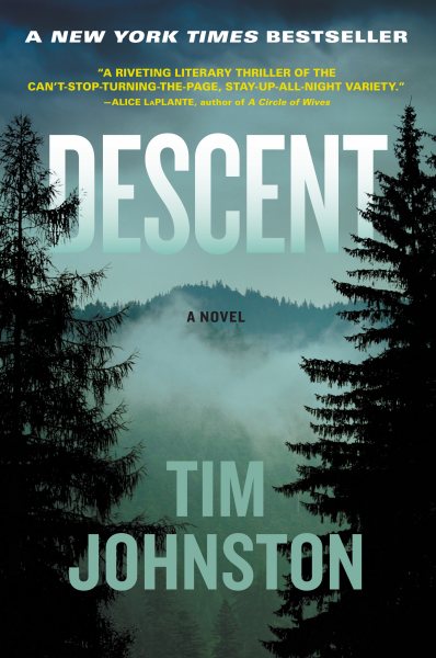 Descent: A Novel cover