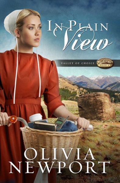 In Plain View (Volume 2) (Valley of Choice) cover
