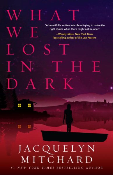 What We Lost in the Dark cover