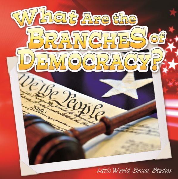 What Are The Branches of Democracy? (Little World Social Studies)