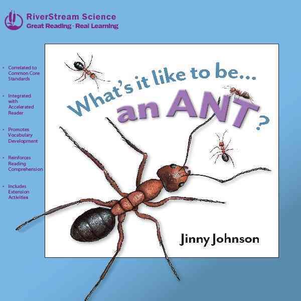 Whats It Like to Be... an Ant (Riverstream Science Reading, Level 1)