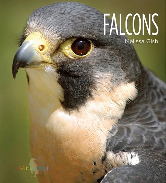 Falcons (Living Wild) cover