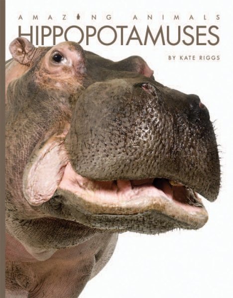 Hippopotamuses (Amazing Animals) cover