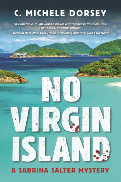 No Virgin Island: A Sabrina Salter Mystery cover