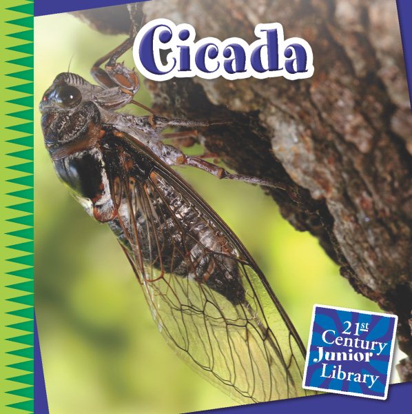 Cicada (21st Century Junior Library: Creepy Crawly Critters)