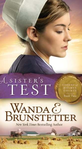 A Sister's Test (Sisters of Holmes County) cover