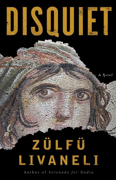 Disquiet: A Novel cover