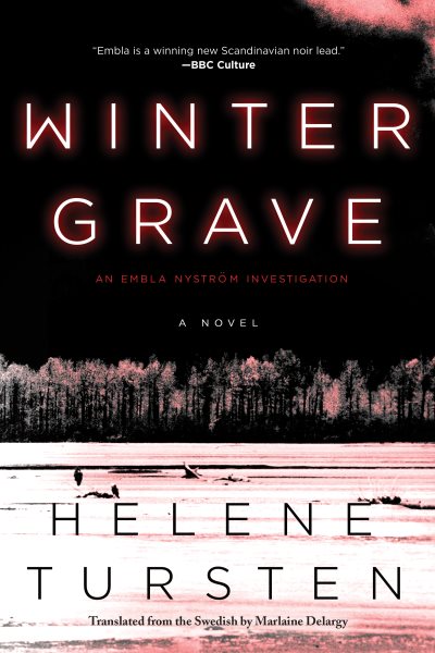 Winter Grave (An Embla Nyström Investigation) cover