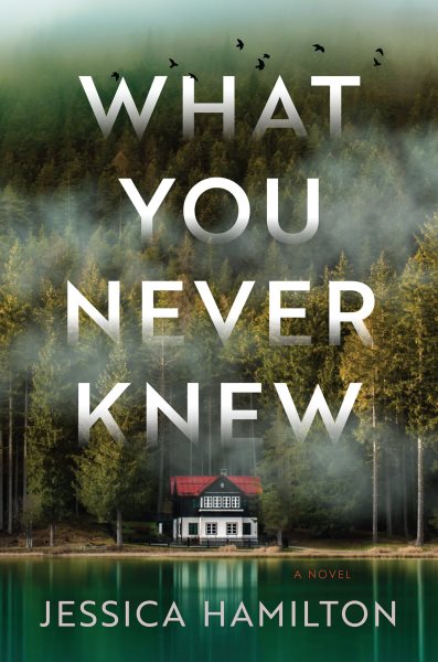 What You Never Knew: A Novel cover