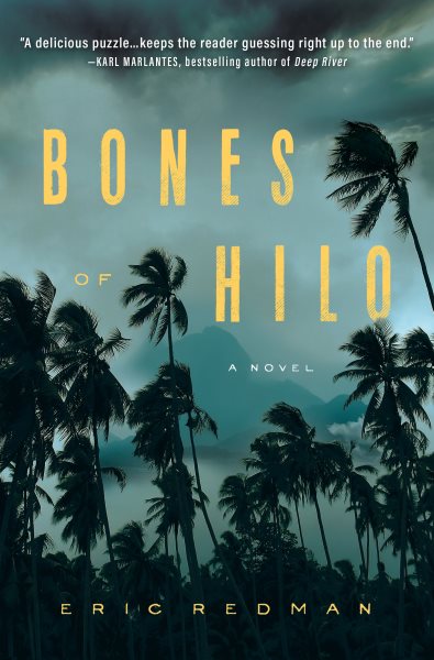 Bones of Hilo: A Novel cover
