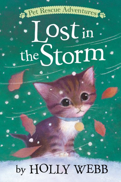 Lost in the Storm (Pet Rescue Adventures) cover